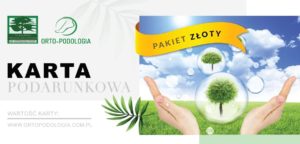 Roczny pakiet rehabilitacyjny konsultacja + 10 dni zabiegowych